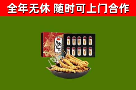南阳烟酒回收冬虫夏草礼盒.jpg